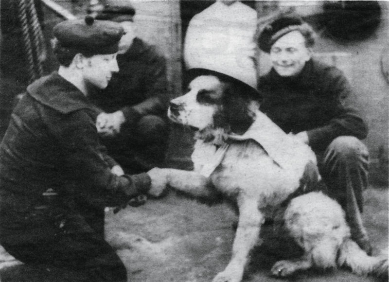 perros primera guerra mundial, centenario