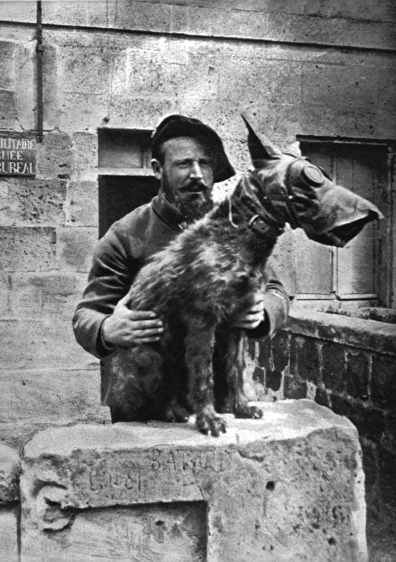 France, 1918, World War I, Health dog wearing a gas mask to protect it from gas fumes. (Photo by Photo12/UIG/Getty Images)