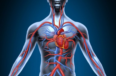 Cáncer, ¡si no podemos evitarlo, parémoslo a tiempo!