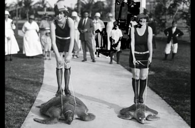 Las competiciones más disparatadas del mundo