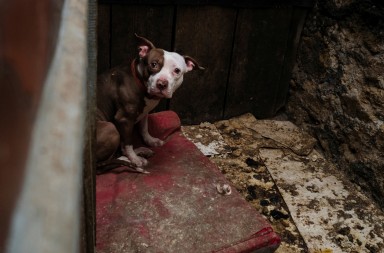 Sálvame de esta tortura