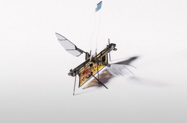 El robot más ligero del mundo