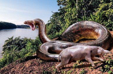 Cuando el tamaño sí importa