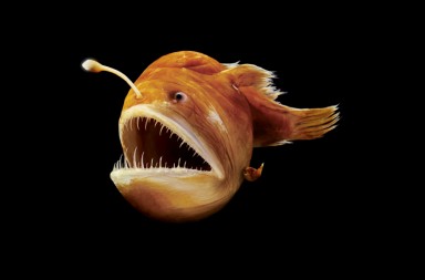 Morir después del sexo