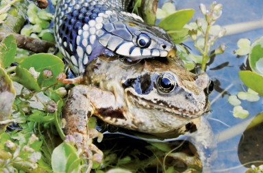 De un bocado… y en vivo