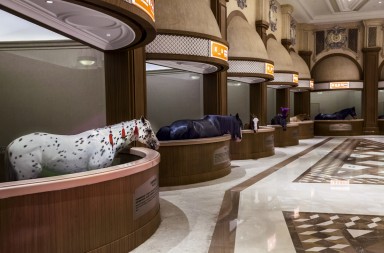 La última extravagancia china