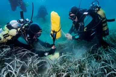 Los casos más sonados de los GEAS