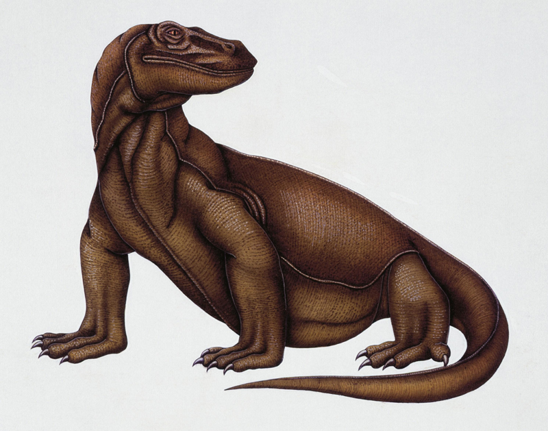 animales prehistoricos