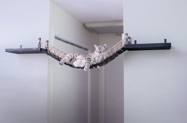 Lo que faltaba a los reyes de la casa