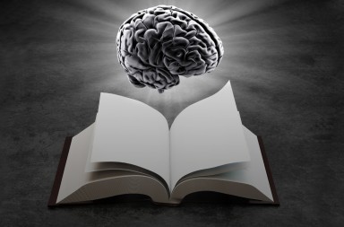El cerebro del lector: un incendio de ideas