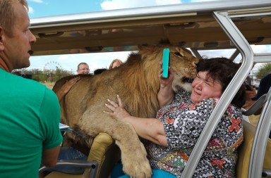 ¿Quiere que un león le dé un beso?