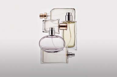 ¿Verdadero… o falso?