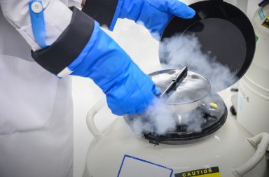 Los bancos de semen en España