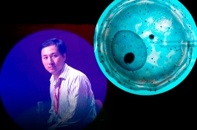 Dos niñas recién nacidas pagarán el precio de la ambición de este médico chino