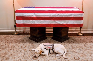 El último mejor amigo de Bush