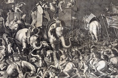 Quién es quién en el zoo militar