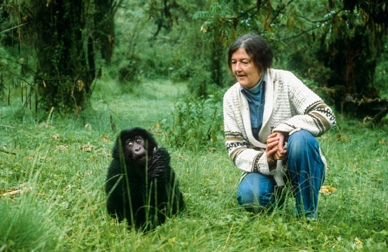 dian fossey (2)