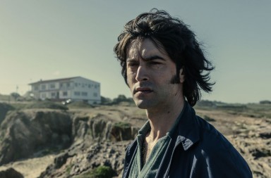 Los éxitos de Bambú Producciones