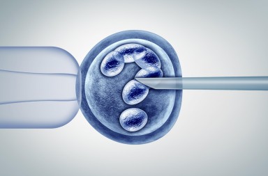 Así funciona el CRISPR/ Cas