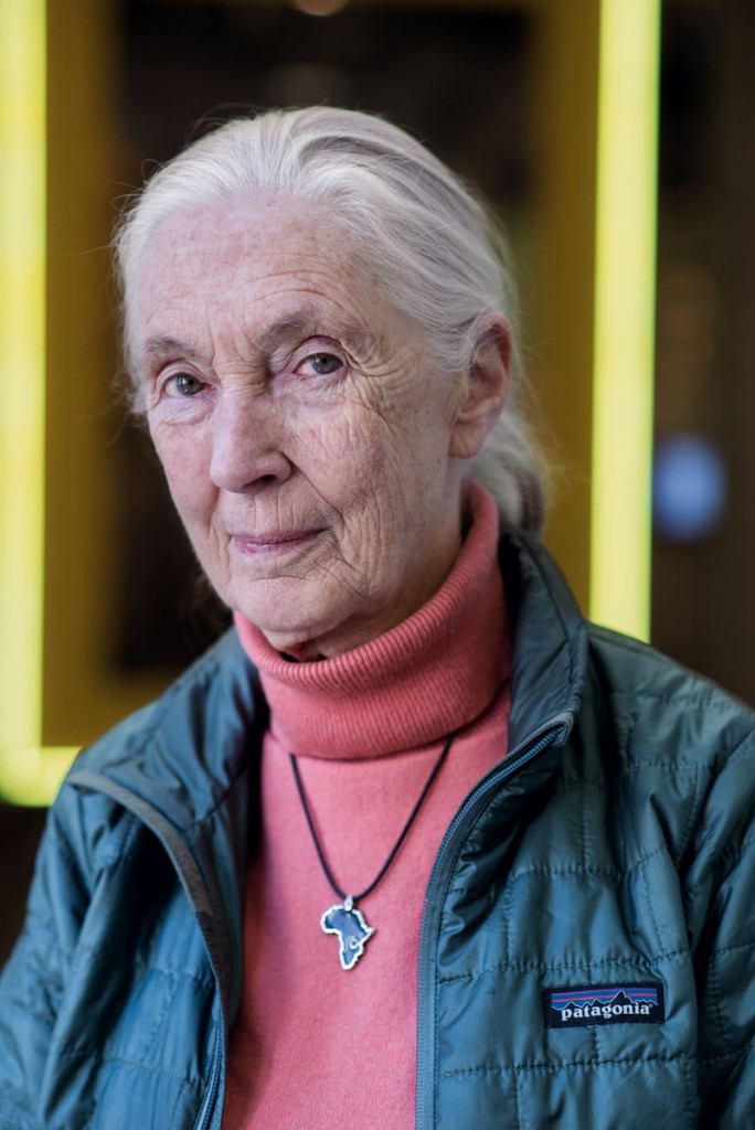 jane goodall (3)