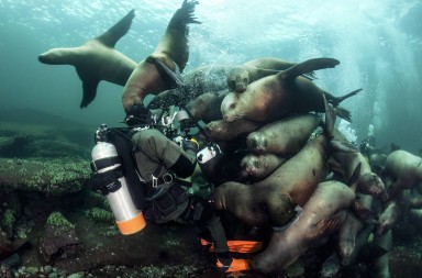 ¿Y tú quién eres? ¿Jugamos?