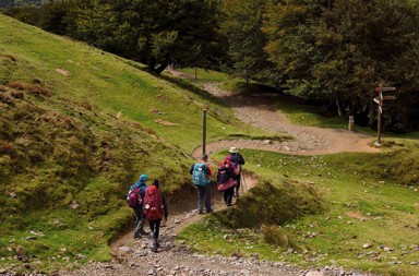 Camino de Santiago: guía para llegar y besar el santo