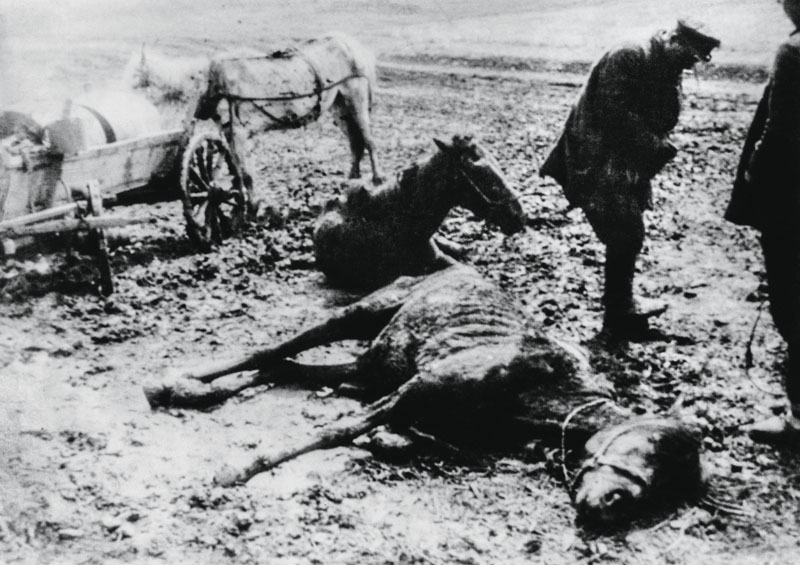 Dead and dying horses near a Belgorod collective farm during the man-made Holodomor famine in the Ukraine, former Soviet Union, 1934. (Photo by Daily Express/Hulton Archive/Getty Images)