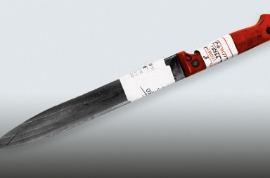 Lorena Bobbitt: «No soy vengativa. Por eso les dije dónde estaba el pene»