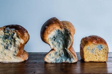 El milagro de la fermentación