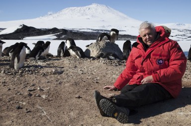 El incombustible Sir David Attenborough