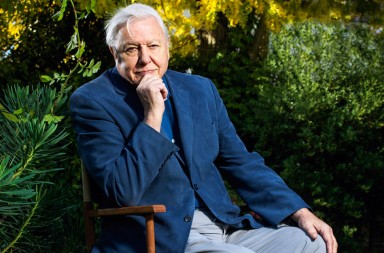 Sir David Attenborough: «La mejor manera de atraer a la mariposa más hermosa es la mierda»