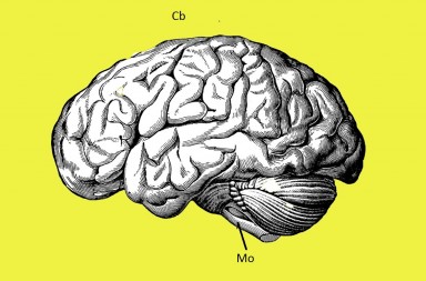 La terapia con ‘eletroshock’ en España