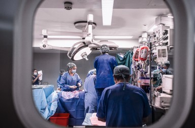 El trasplante de hígado paso a paso