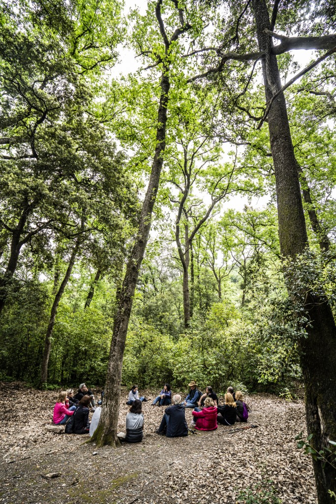 Banos de bosque shinrin-yoku