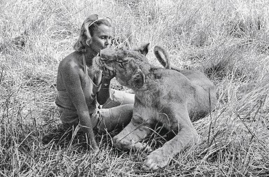 Vuelve la leona Elsa