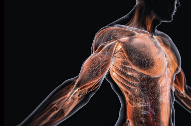 Fascia, la causa secreta del dolor crónico de espalda