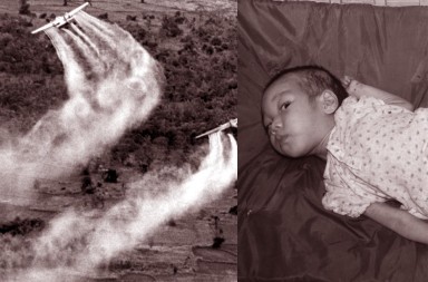 Vietnam, la muerte naranja