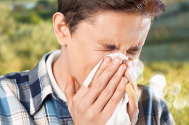 8 preguntas clave sobre la alergia