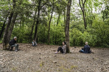 ¡Date un baño de bosque y libera tu estrés!