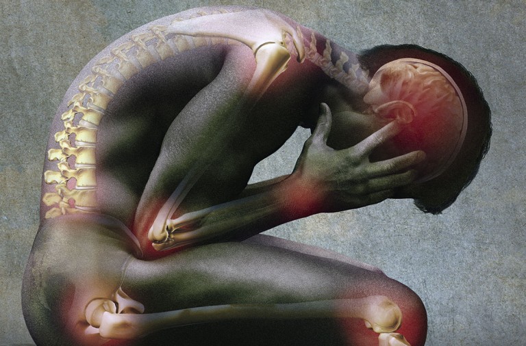 La causa de la fibromialgia no está en tu cabeza: la respuesta está en la fascia La causa de la fibromialgia no está en tu cabeza: la respuesta está en la fascia
