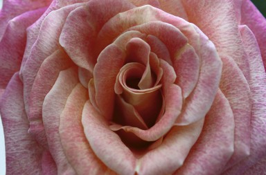 El estimulante sexual femenino ¿para cuándo?