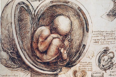 Leonardo da Vinci, anatomista