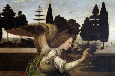 Leonardo da Vinci, naturalista