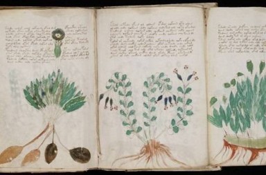 Los misterios del manuscrito Voynich