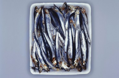 La pesadilla del anisakis