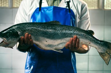 Los 10 pescados más consumidos en España, a examen