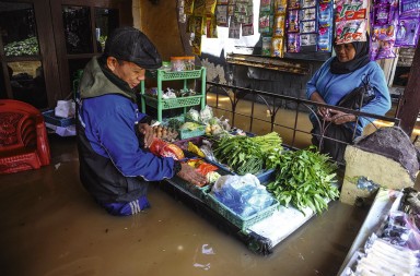 La vida sigue tras el diluvio