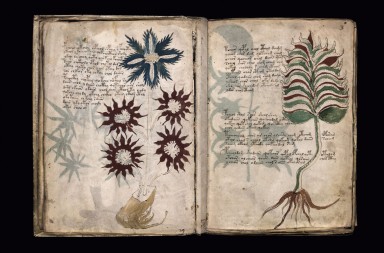 Lo que sí sabemos del manuscrito Voynich
