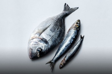 Los océanos no resisten más: ¡mójate por el mar!