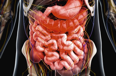 Salud intestinal y cerebro: ‘escucha’ a tus tripas